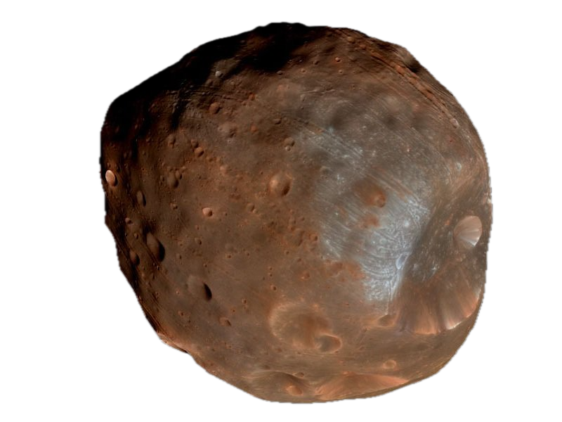 Pasiphae