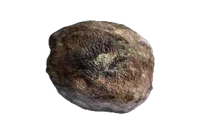 Isonoe