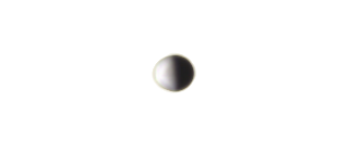 Pallene
