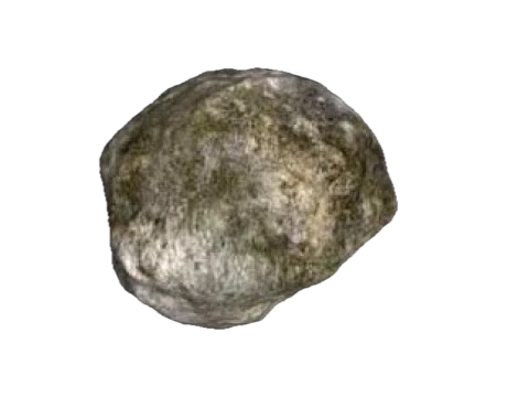 Erinome