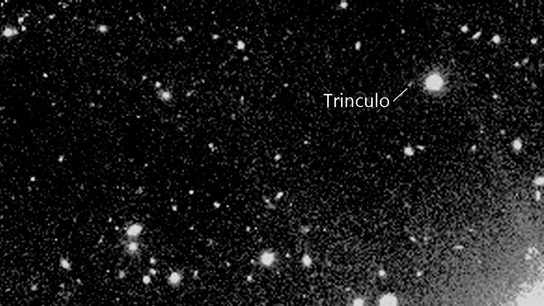 Trinculo