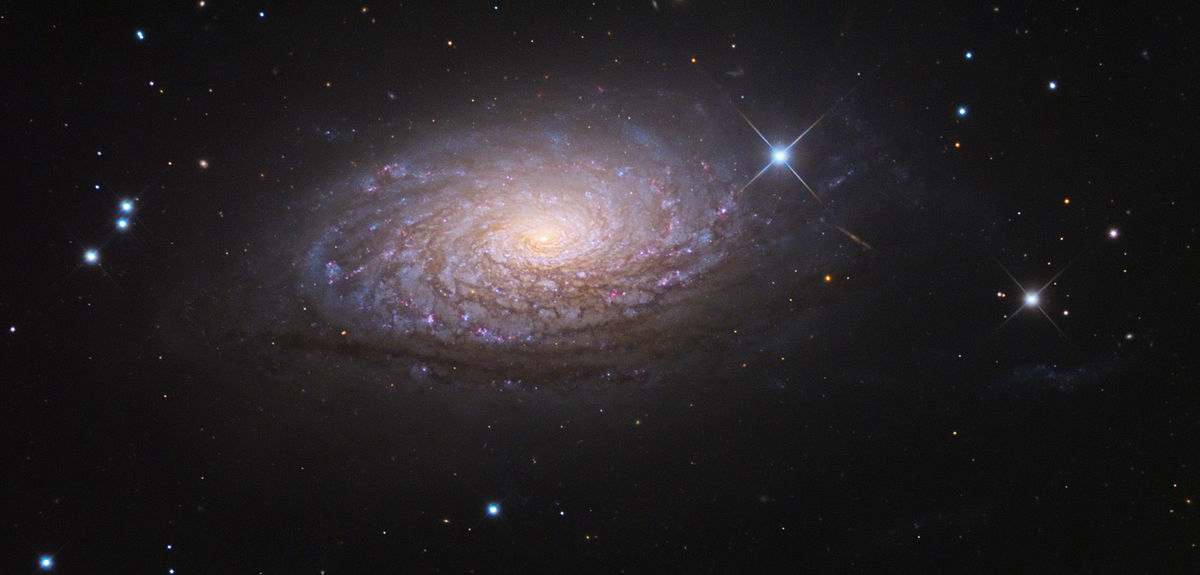 Galaxie Slunečnice