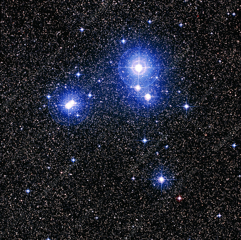 IC 2391