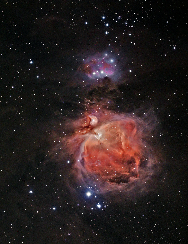 NGC 1981