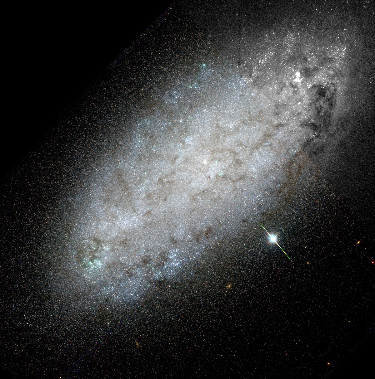 NGC 2976