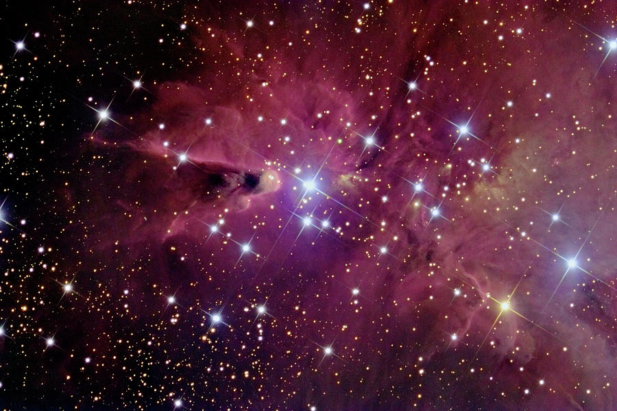 NGC 2264