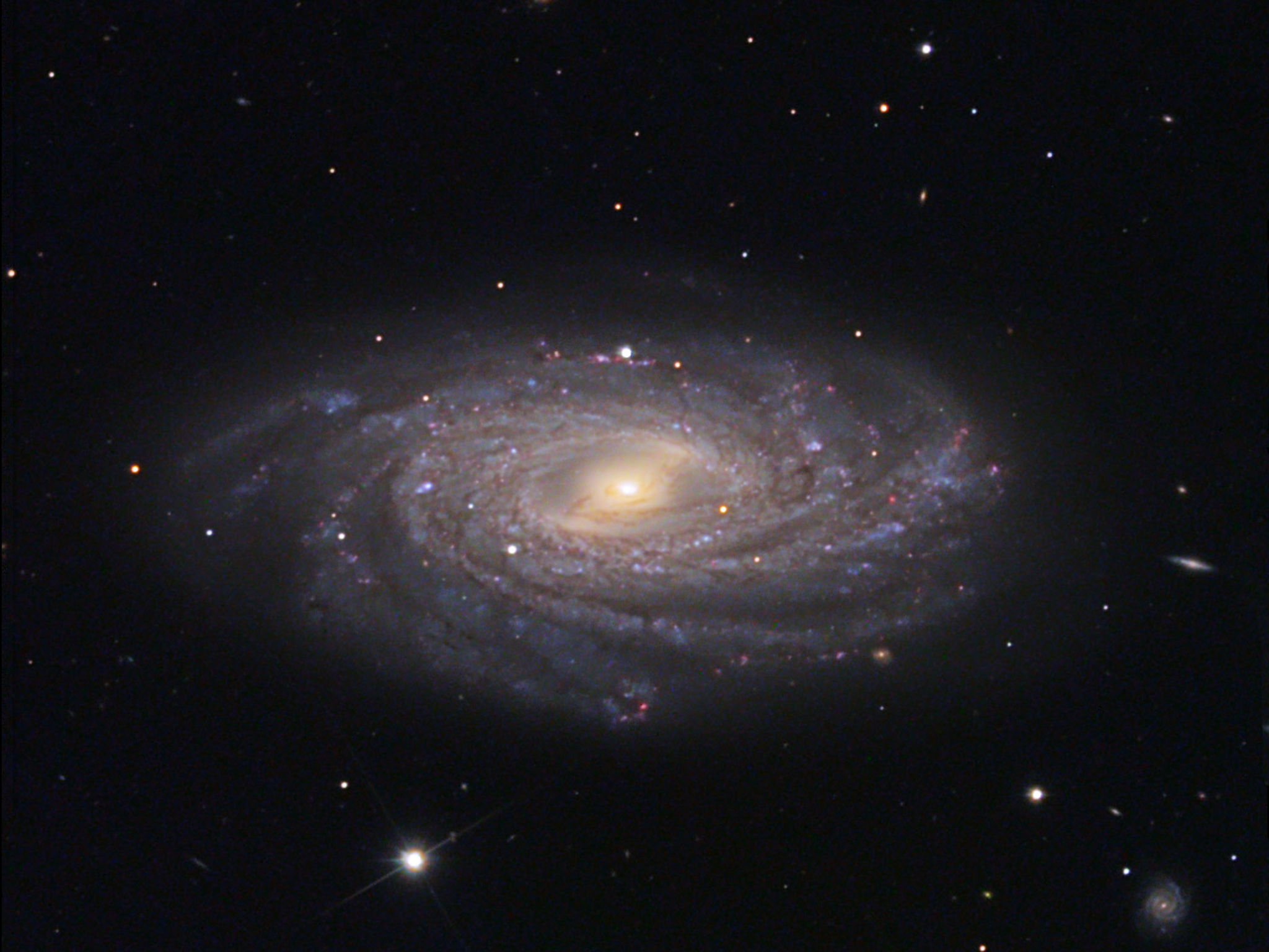 NGC 3953