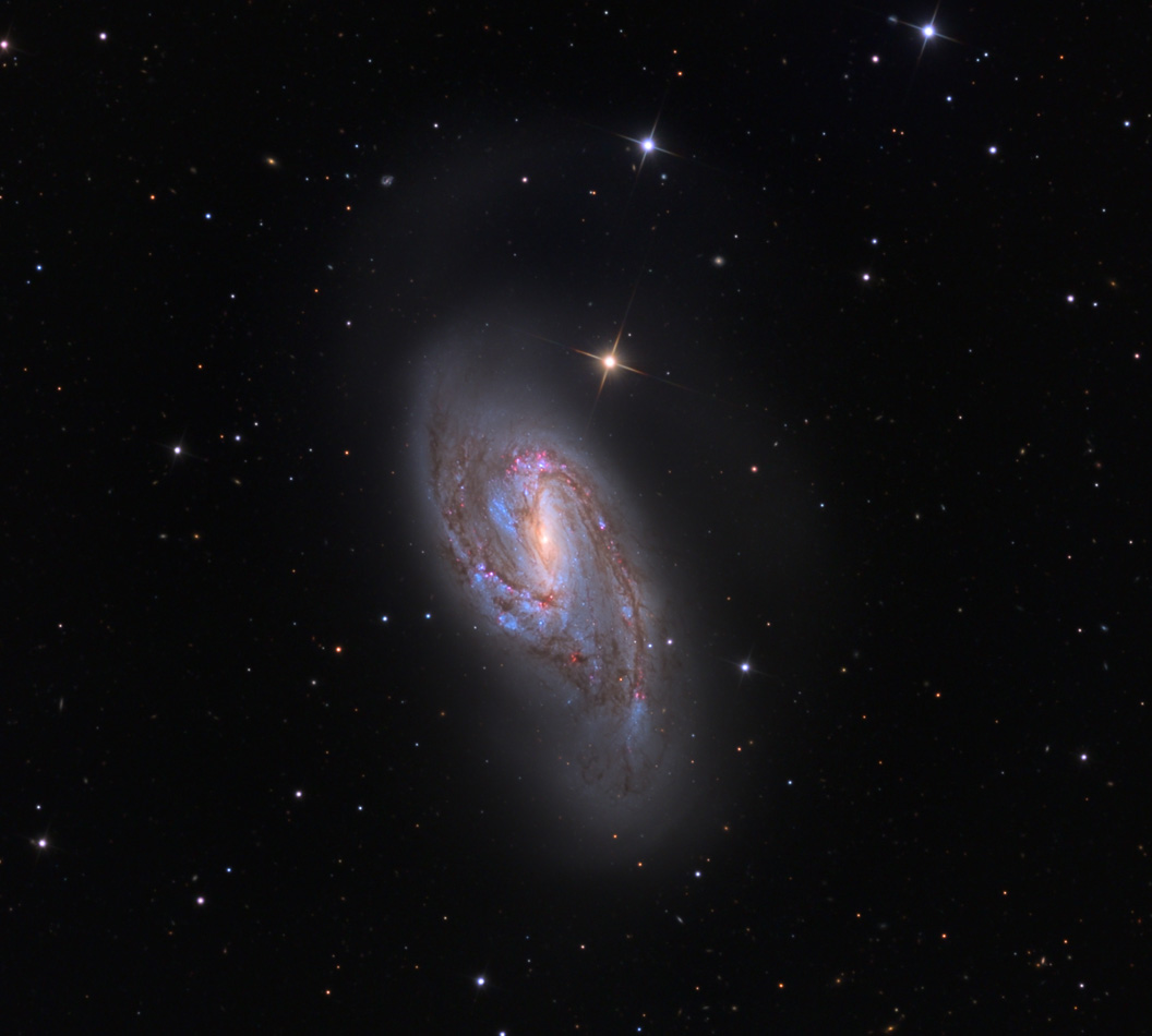 Spirální galaxie M66. Autor: Adam Block