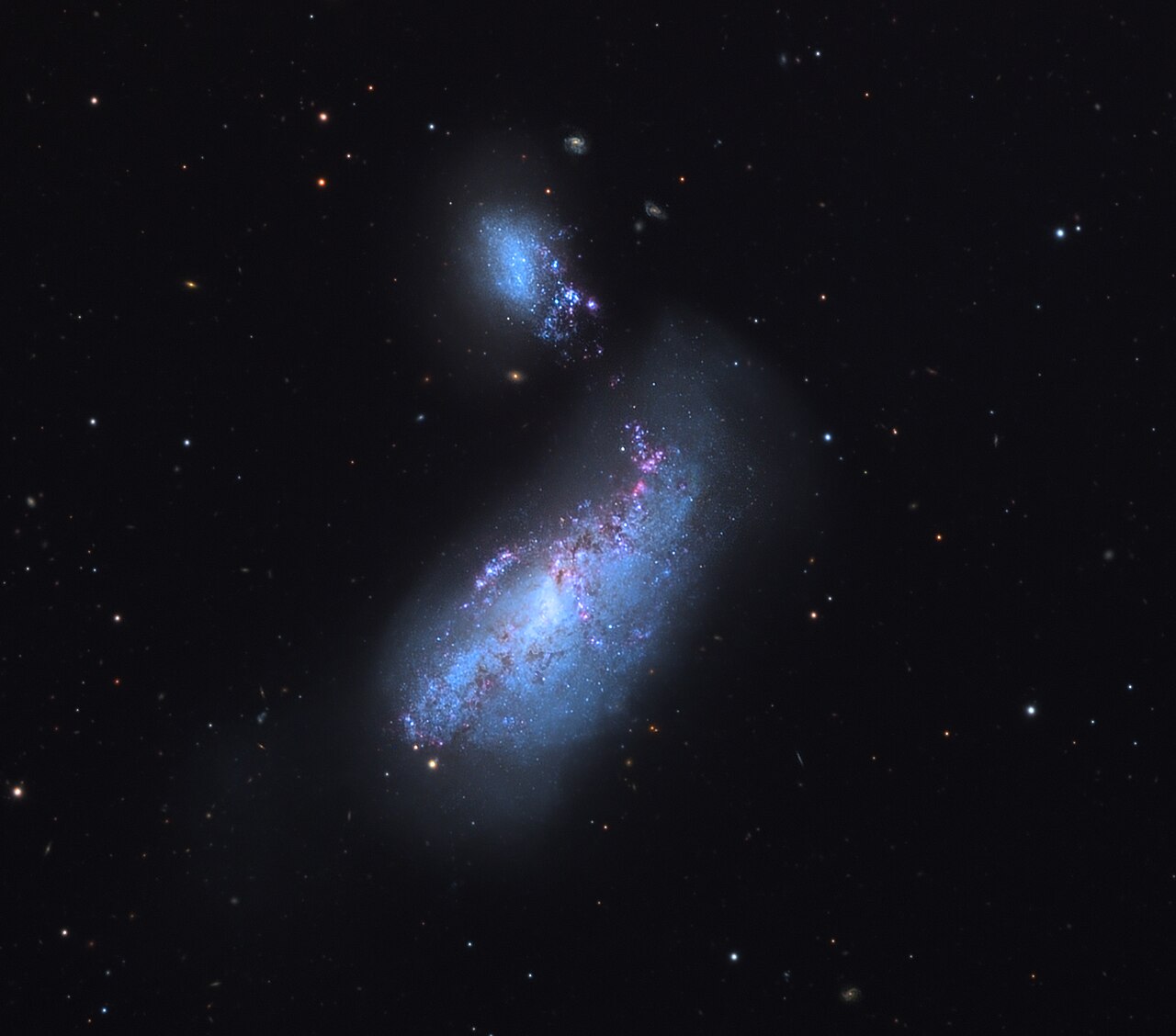 NGC 4490 na amatérském snímku